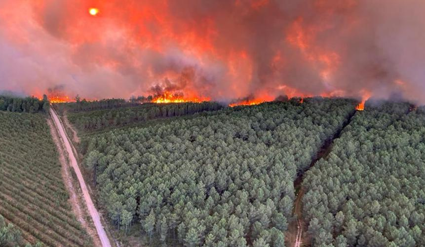 Réchauffement climatique : les derniers événements inédits en France Landiras-fire
