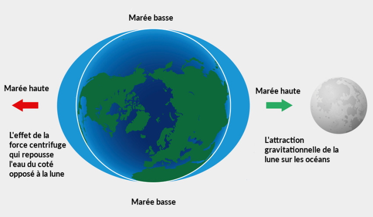 Quels sont les effets de la pleine Lune sur le corps ?