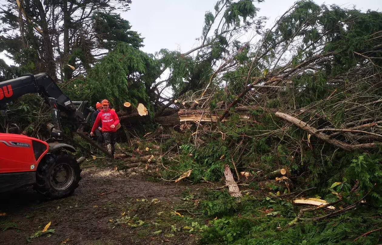 Bilan de la tempête Ciaran : jusqu'à 207 km/h et gros dégâts entre Bretagne et Manche Brehat-degats