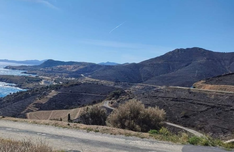 Sécheresse record et incendies précoces en Espagne et dans le Roussillon Cerbere