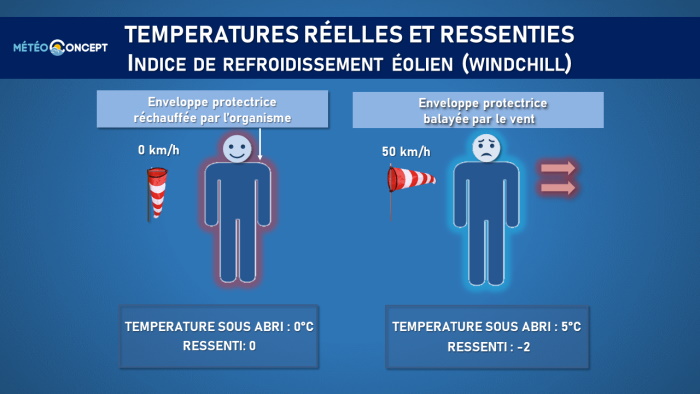 Souvent négligé, le taux d'humidité est tout aussi important que la  température intérieure - NeozOne